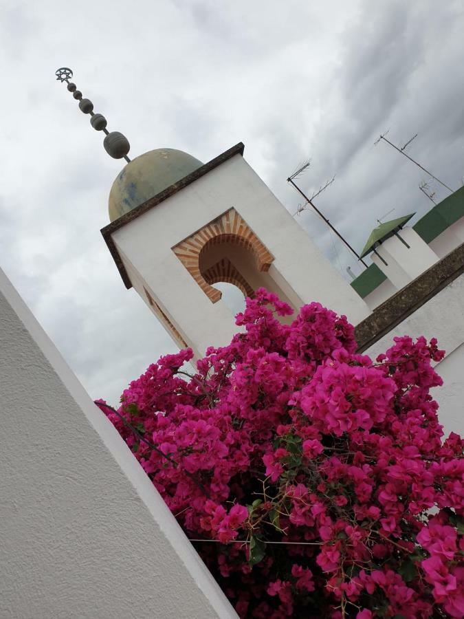 Entre 2 Mezquitas Apartamento 8 Córdoba Exterior foto